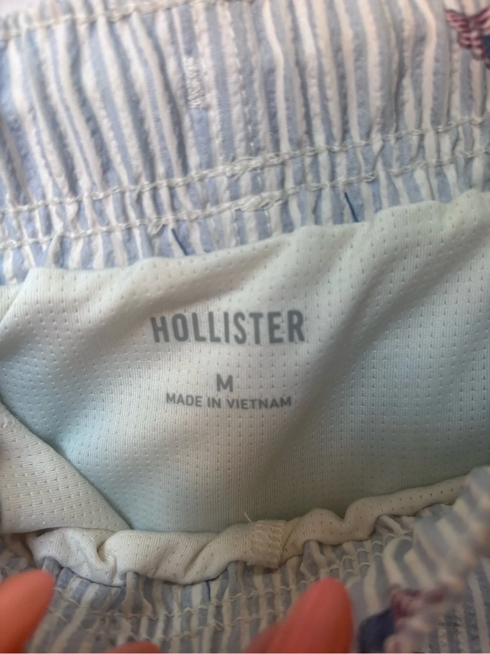 Mens Hollister Swim Trunk Stripes with Flag Print - Light Blue & White